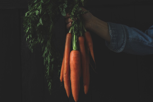Carottes nouvelles